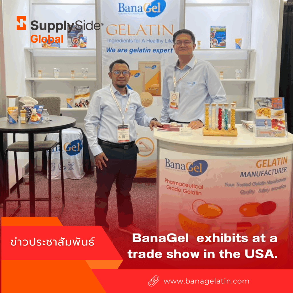 banagel Gelatin Exhibition