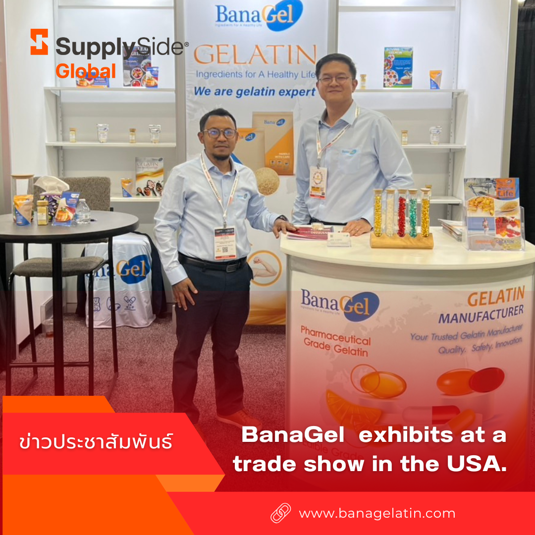 banagel Gelatin Exhibition